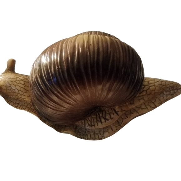 Snail, Realistic, Hand Painted, Figure, Lifelike Approximately 5"x2" Plastic - Picture 4 of 4